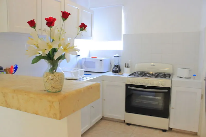 Apartamentos Las Torres 신데 델 카르멘 멕시코